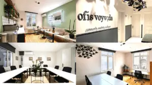 Ofis Voyvoda