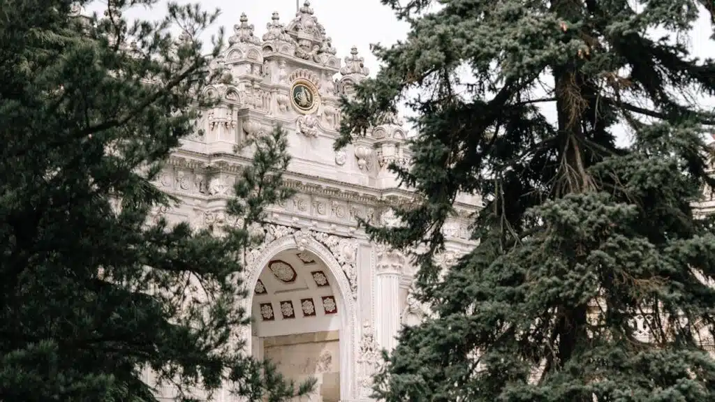 pexels mutecevvil 21316320