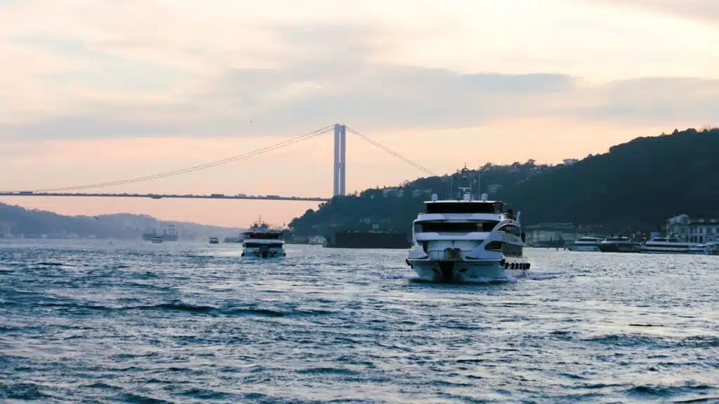 pexels zeynep sahin 363019162 30158633