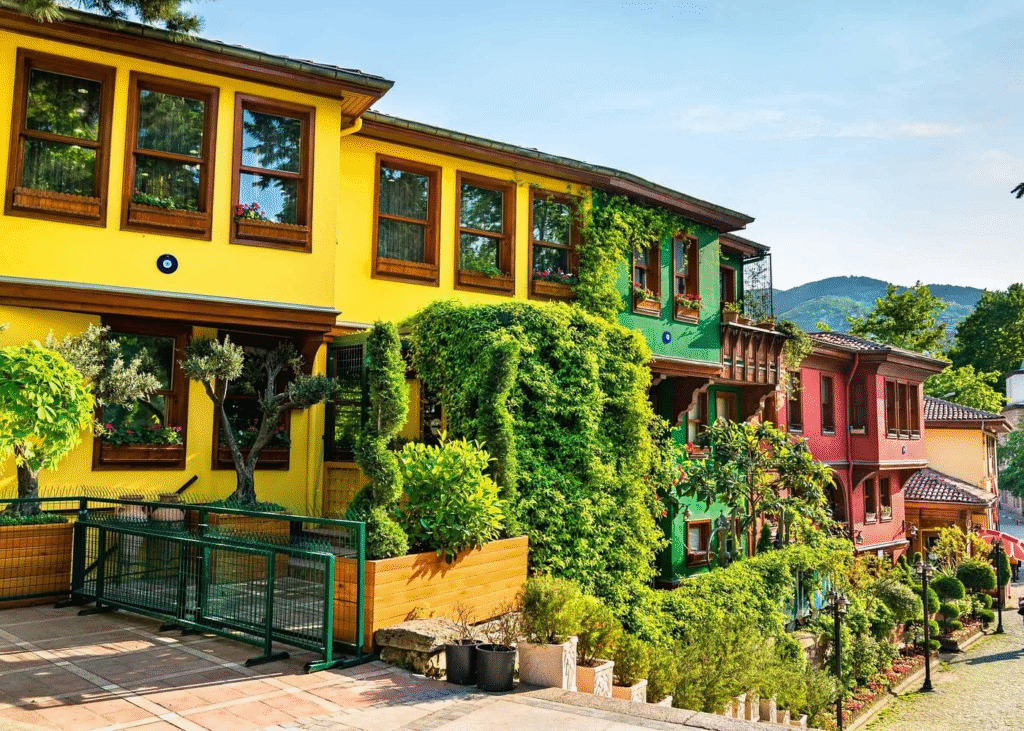 Istanbul to Bursa & Uludag Day Tour: Lunch, Cable Car Option a row of colorful houses with trees and bushes in Bursa