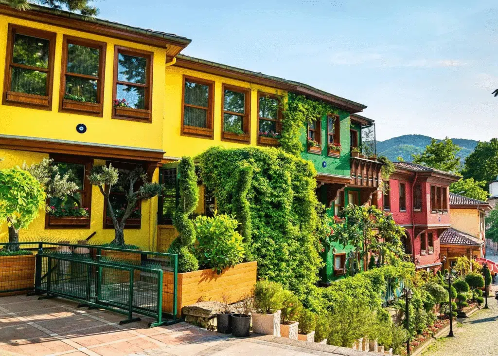 a row of colorful houses with trees and bushes in Bursa