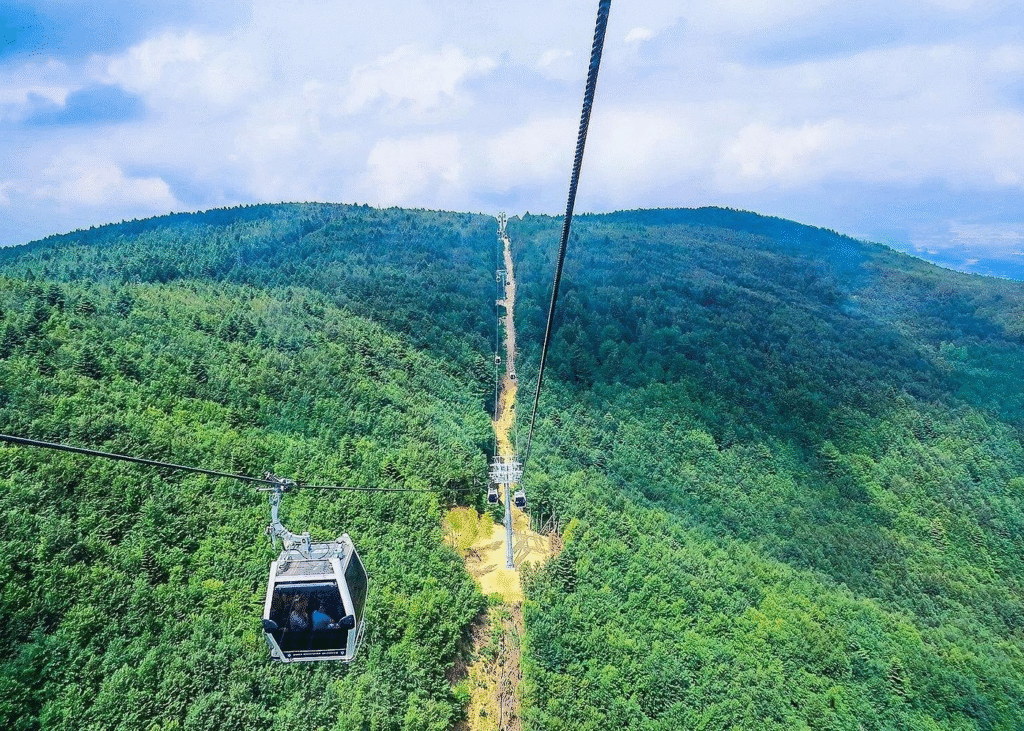 Istanbul to Bursa & Uludag Day Tour: Lunch, Cable Car Option a cable car going down a hill
