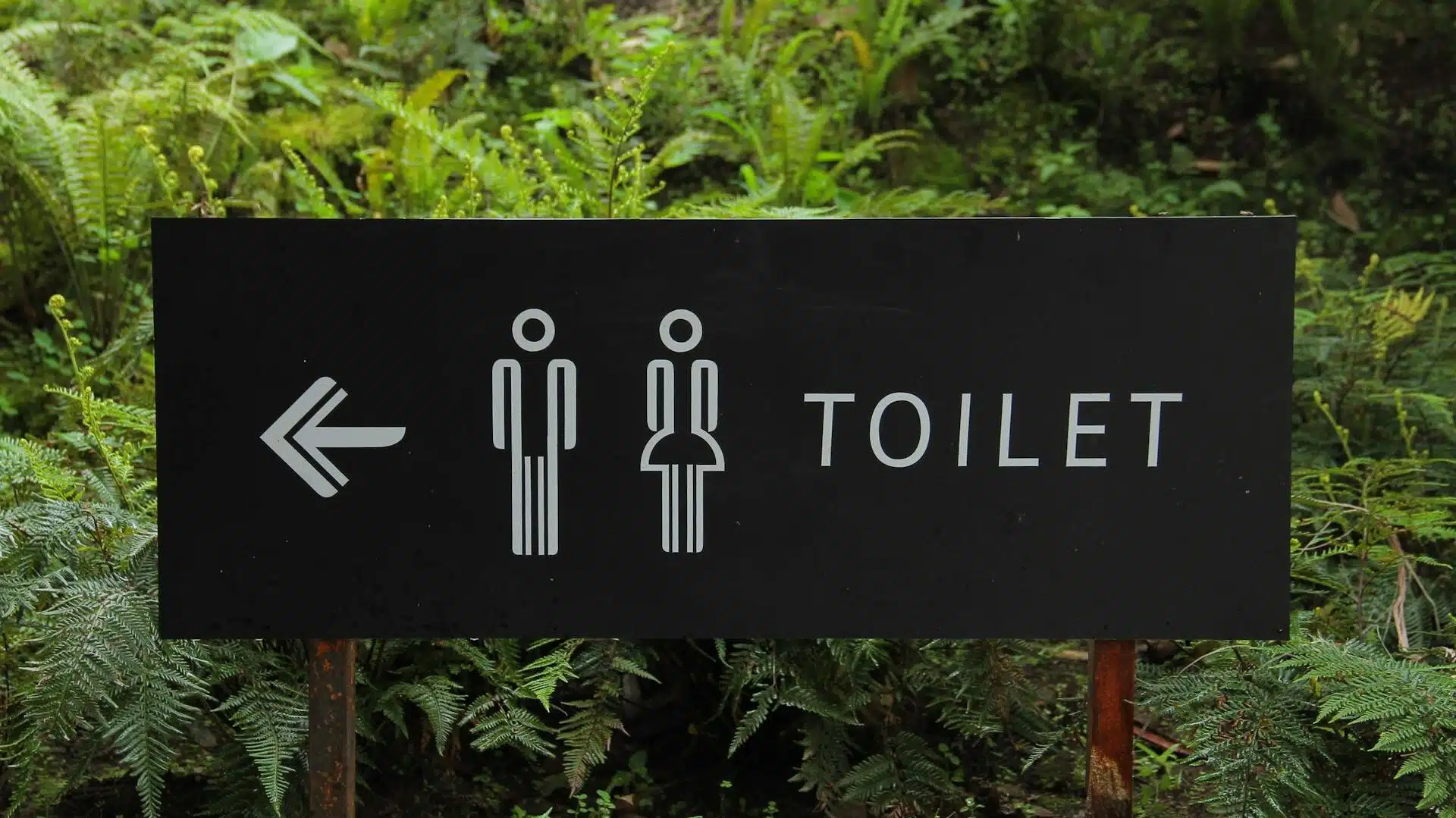 Toilets in Turkey: Everything Tourists Need to Know (Yes, Bidets Too!) pexels hafidz alifuddin 18111 88808 edited