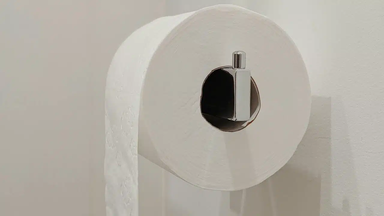 Toilets in Turkey: Everything Tourists Need to Know (Yes, Bidets Too!) Toilets in Turkey