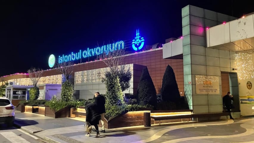 Explore Istanbul Aquarium - A Complete Guide image 17 edited
