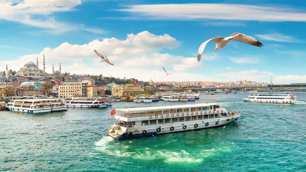 Top Things to Do in Istanbul: A Complete Guide for First-Time Visitors Bosphorus Cruise