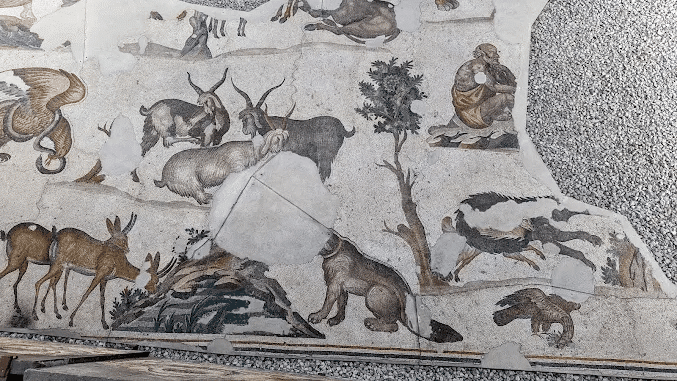 Great Palace Mosaics Museum