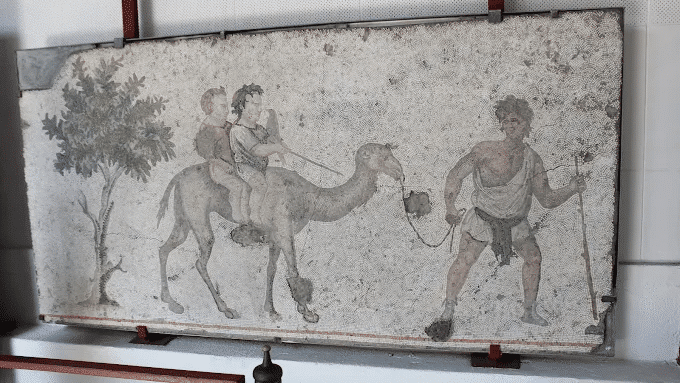 Great Palace Mosaics Museum