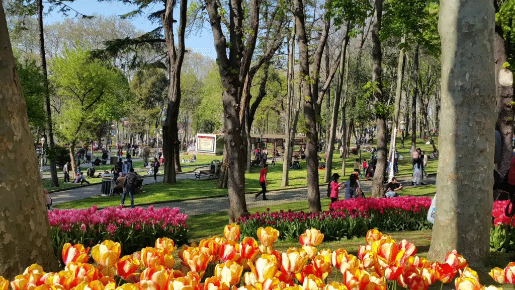 Tulip Festival at Gülhane Park