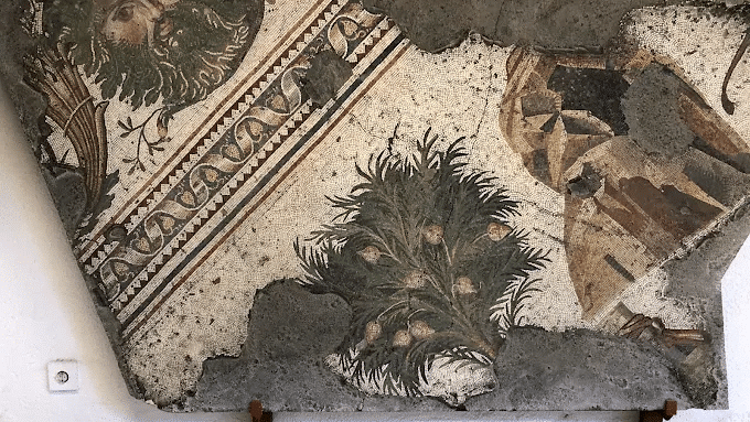 Istanbul Great Palace Mosaics Museum
