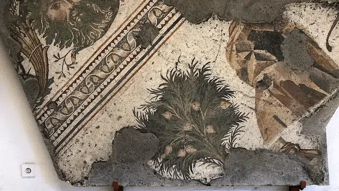 Top Museums You Must Visit Near Hagia Sophia in 2025 Istanbul Great Palace Mosaics Museum