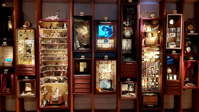 Museum of Innocence