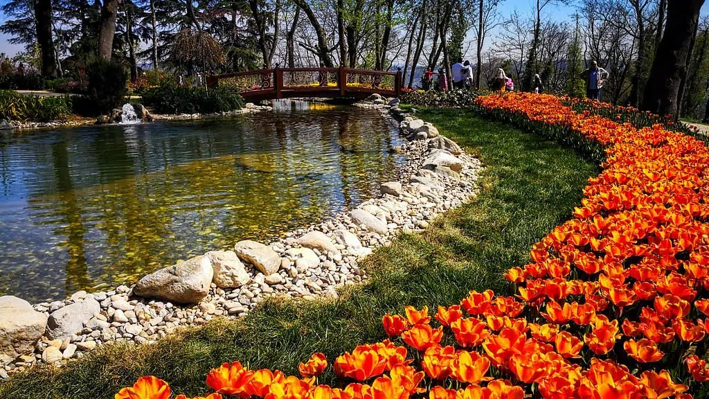 Emirgan Park Tulips