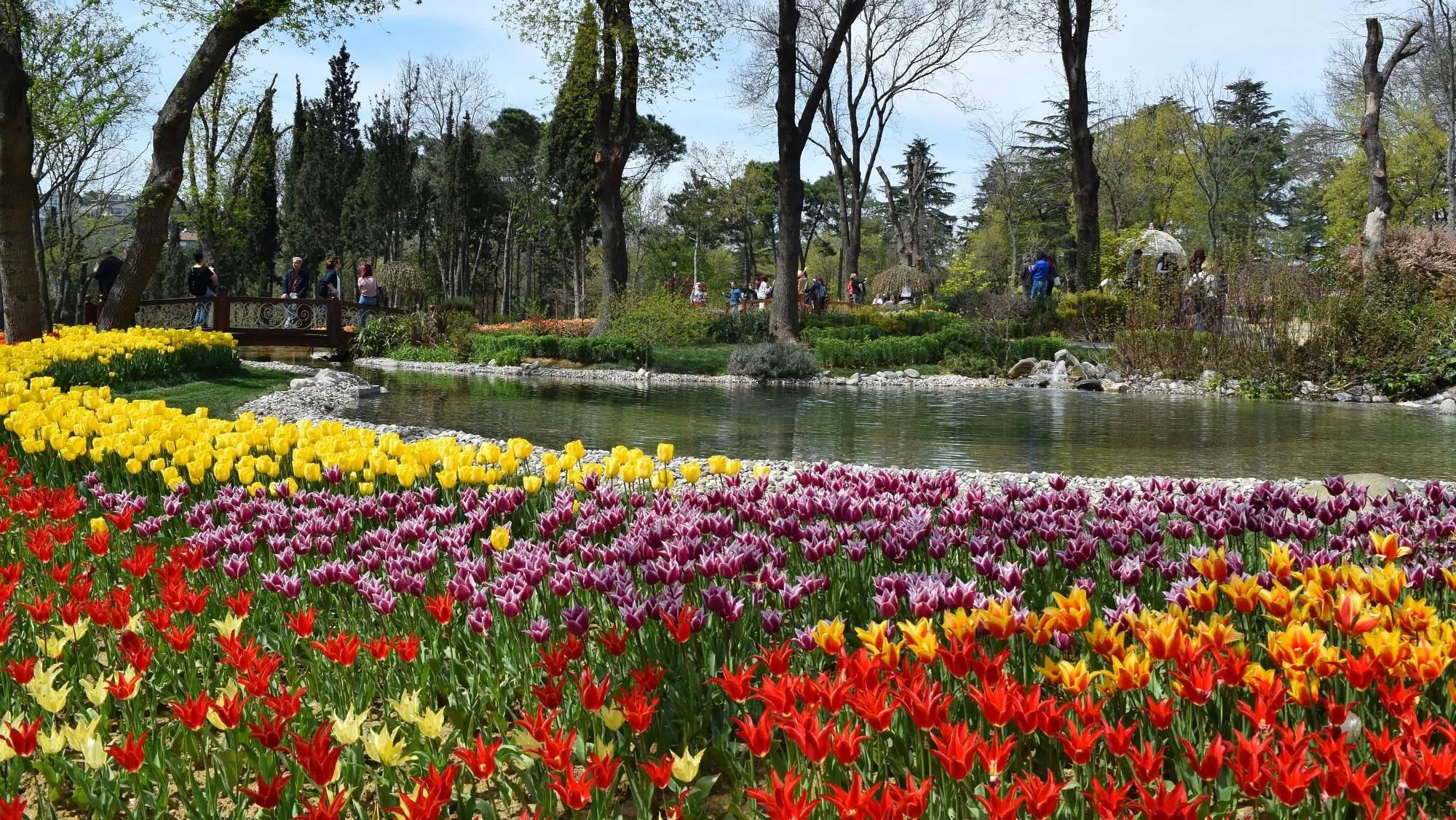 Emirgan Park Tulips