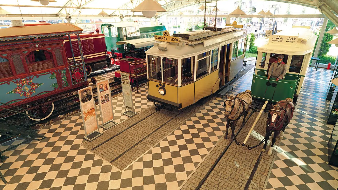 image 20250727 070708 edited