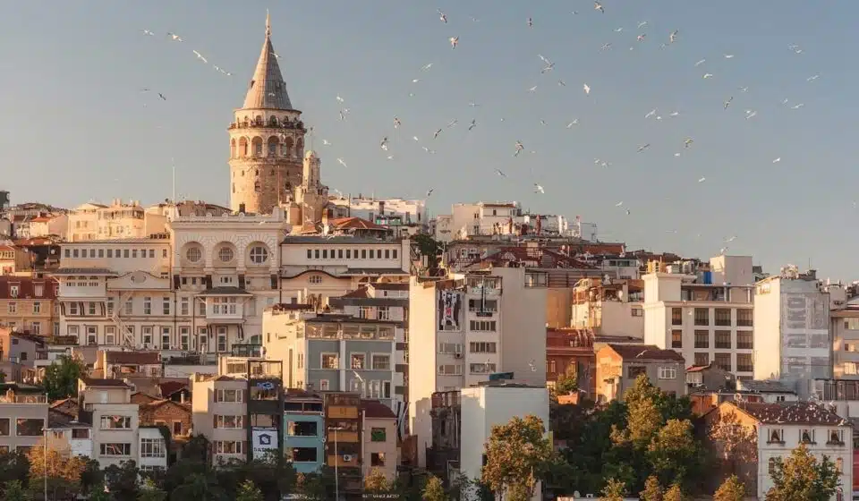 aerial view of buildings and flying birds