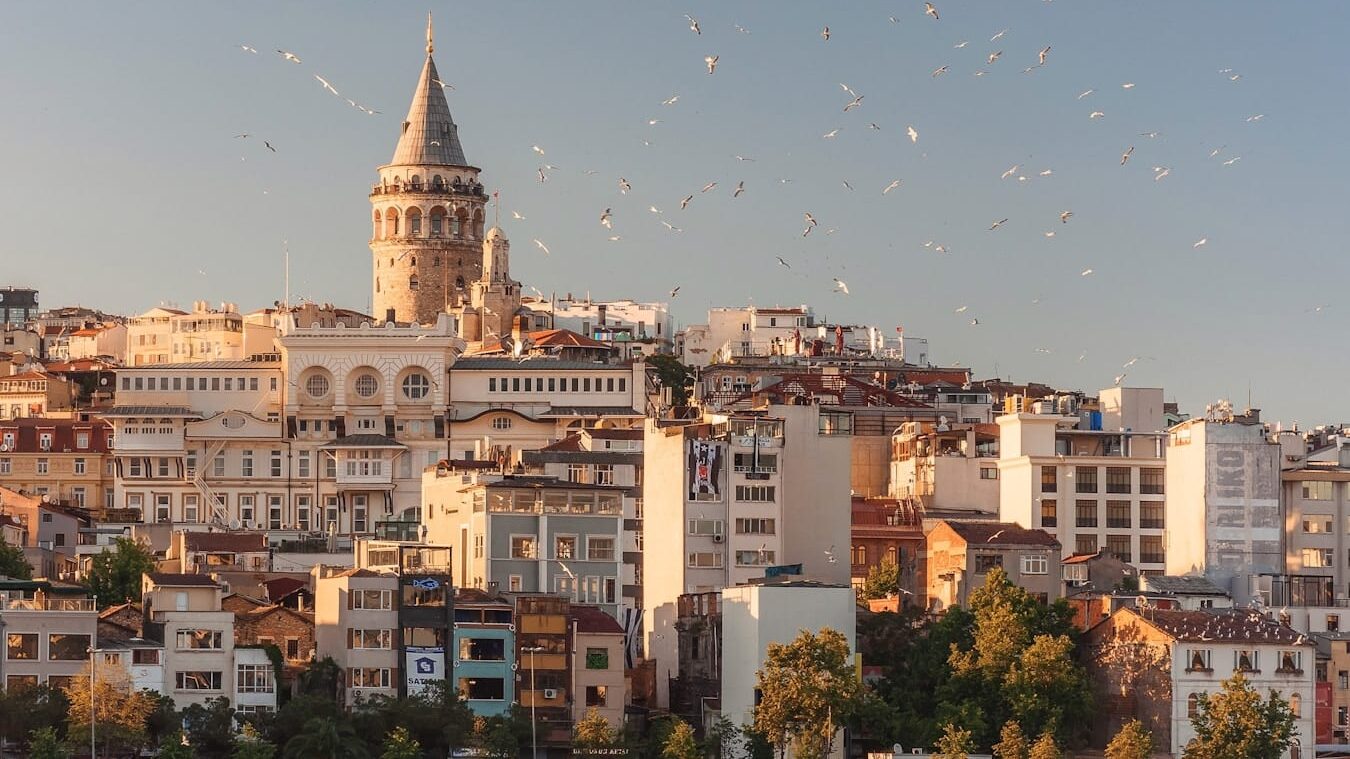 aerial view of buildings and flying birds