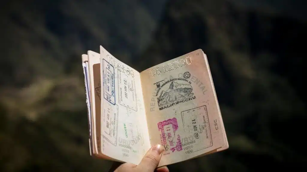 person holding passport