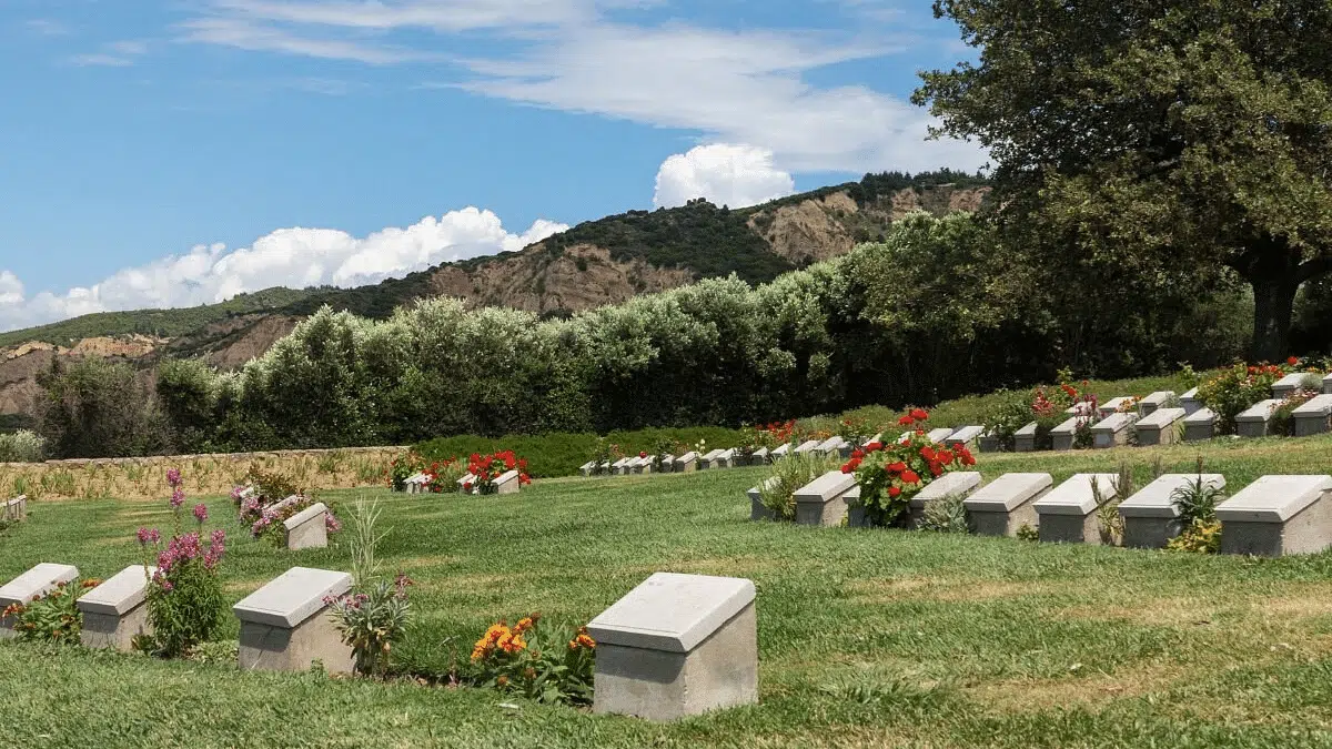 From the Dardanelles War to ANZAC Cove: The Full Story of Gallipoli The Farm Cemetery