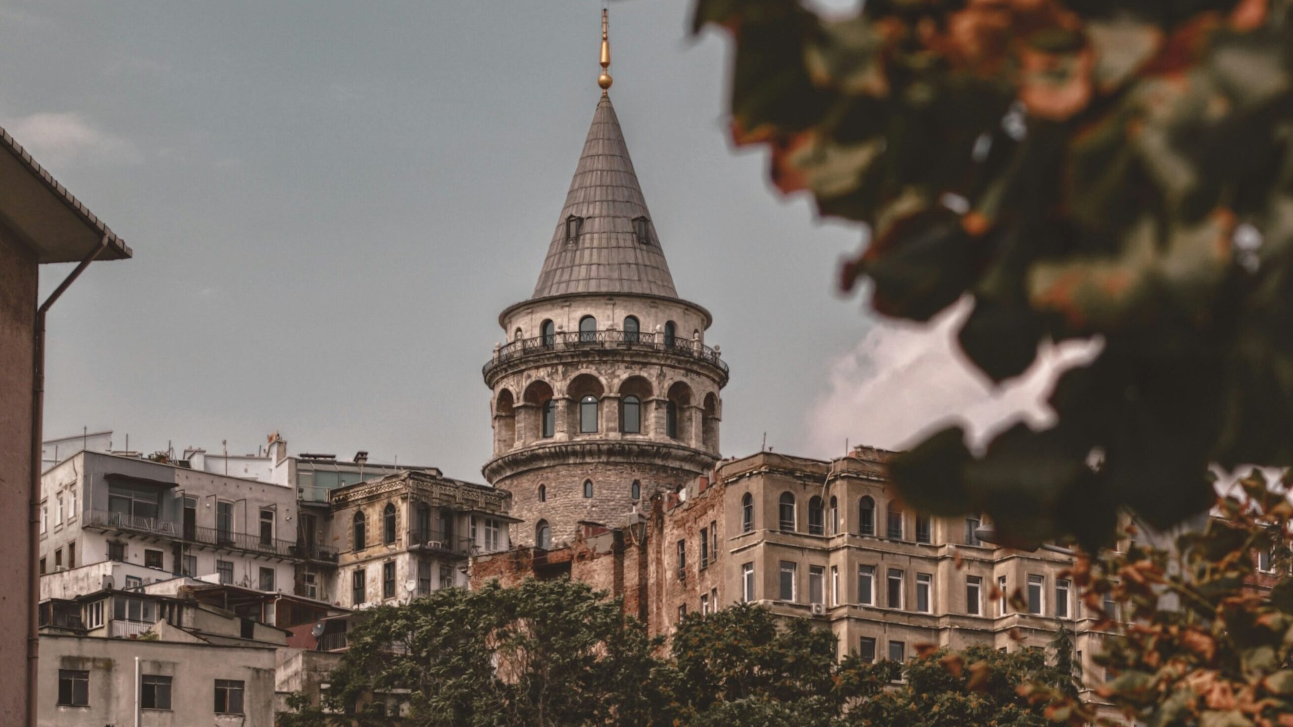 image 20250830 161342 edited scaled