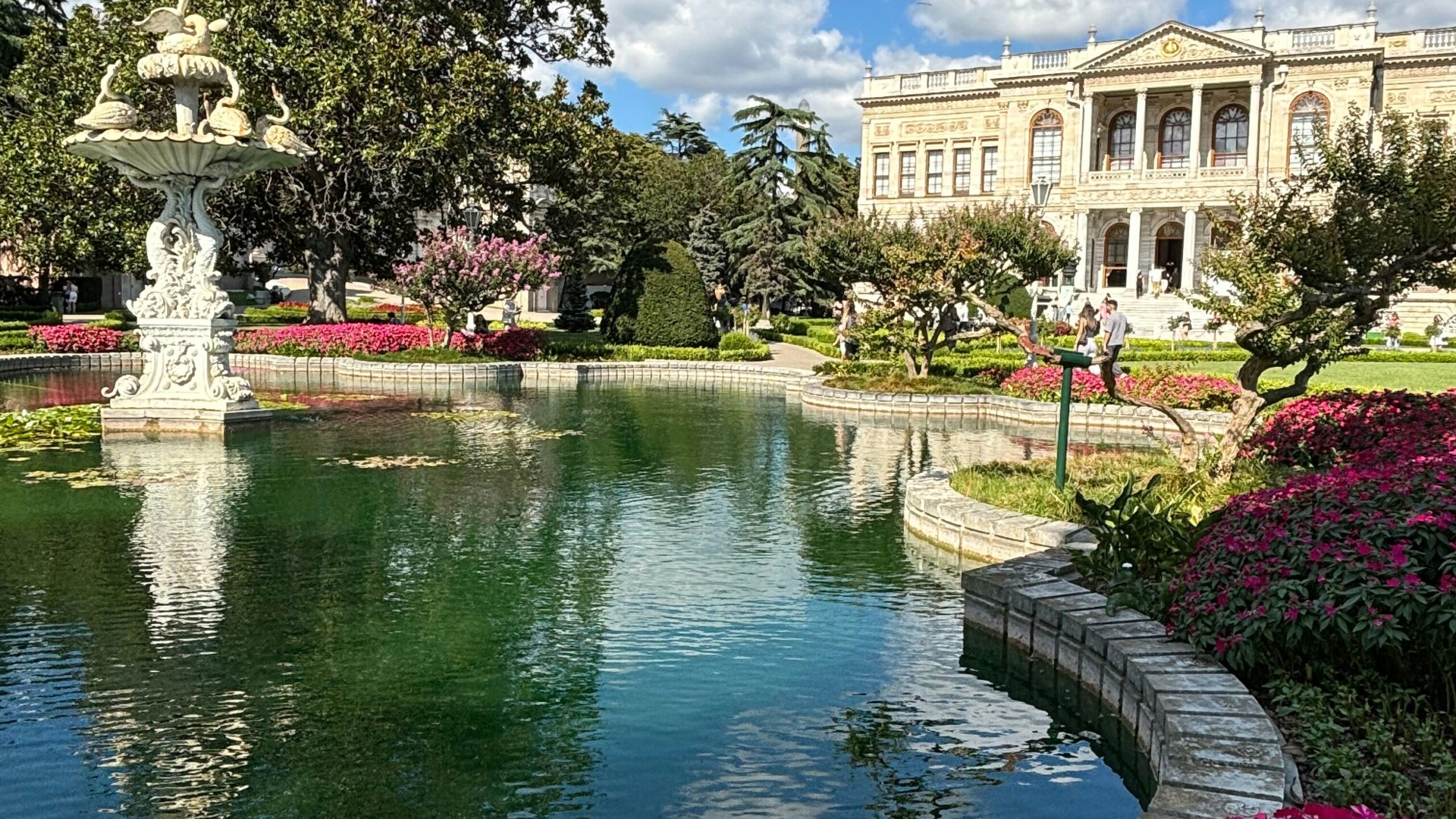 image 20250830 161821 edited scaled