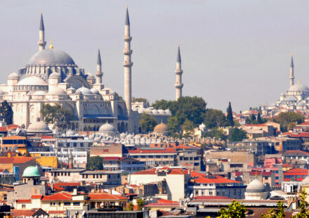 Istanbul skyline and currency concept