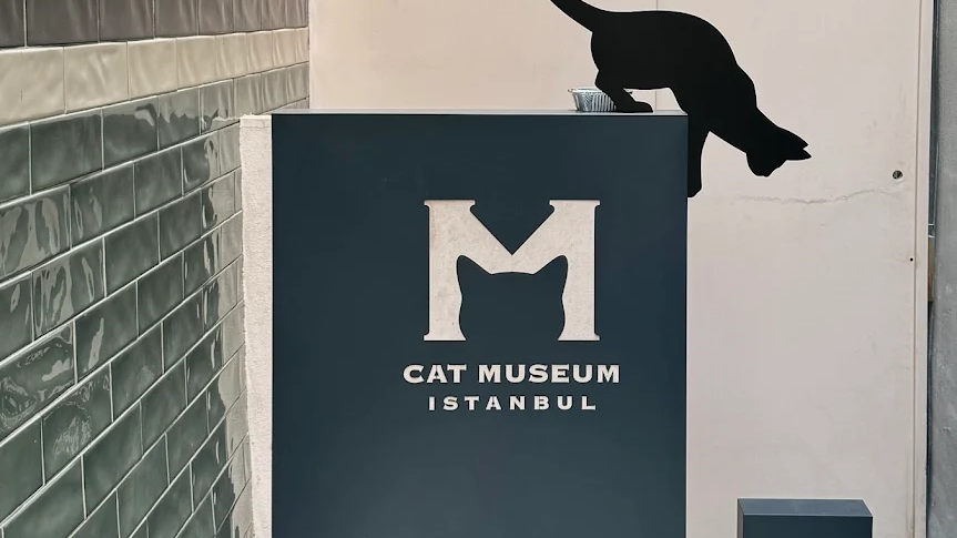 image 20250910 135301 edited