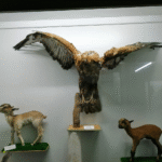 image 20250911 111023
