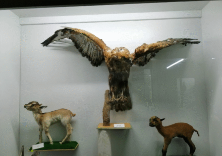 image 20250911 111023