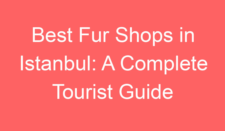 best fur shops in istanbul a complete tourist guide 119534