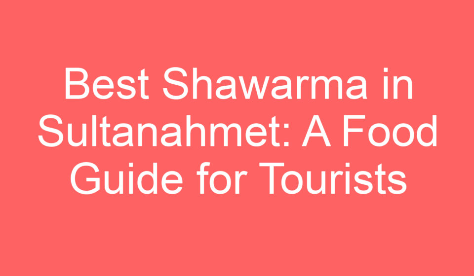 best shawarma in sultanahmet a food guide for tourists 119716