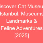 discover cat museum istanbul museums landmarks feline adventures 2025 77701