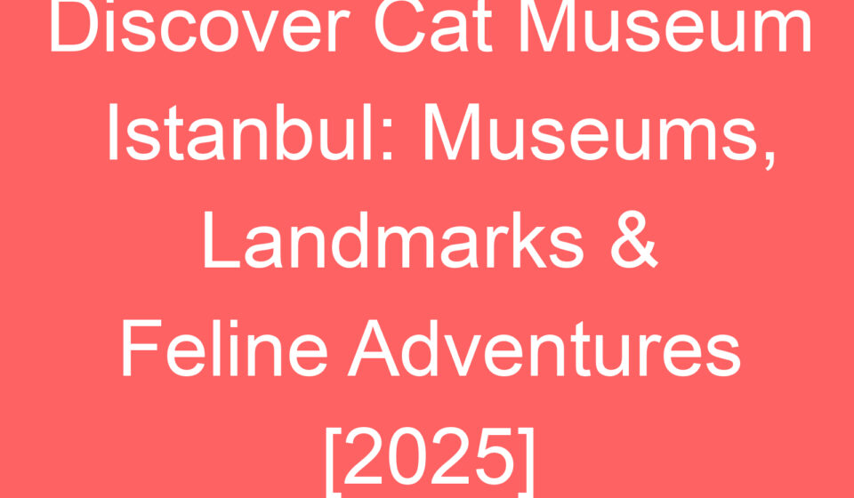 discover cat museum istanbul museums landmarks feline adventures 2025 77701
