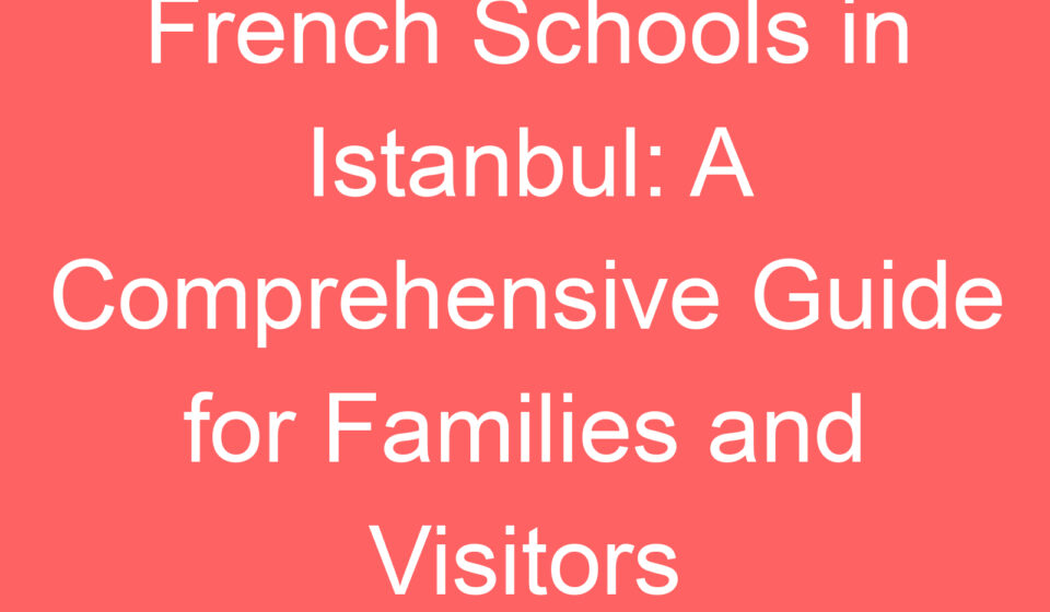 french schools in istanbul a comprehensive guide for families and visitors 127287