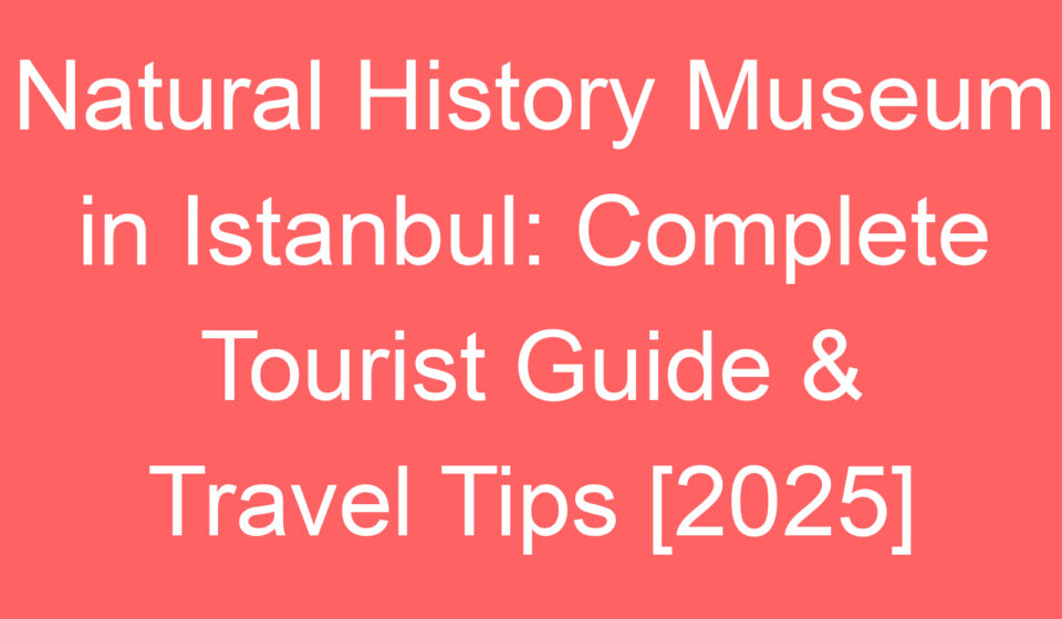 natural history museum in istanbul complete tourist guide travel tips 2025 80624
