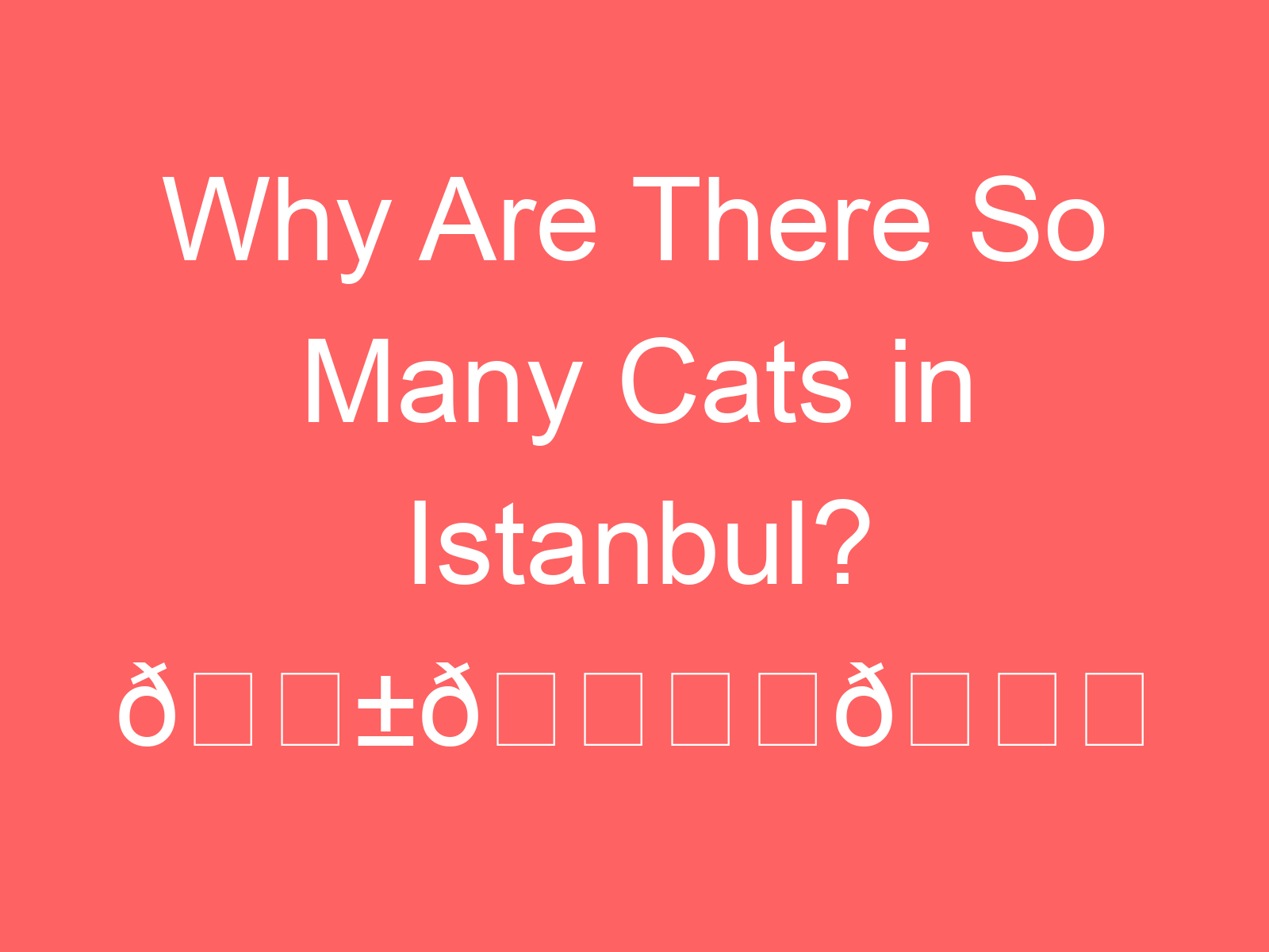why are there so many cats in istanbul f09f90b1f09f8f99efb88ff09f9296 88522