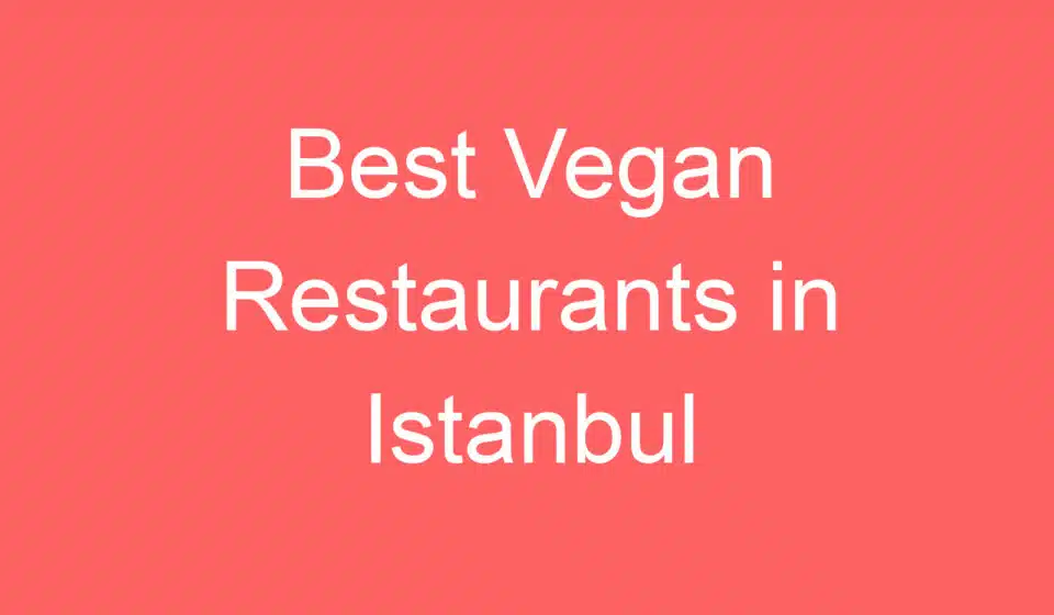 best vegan restaurants in istanbul 254639