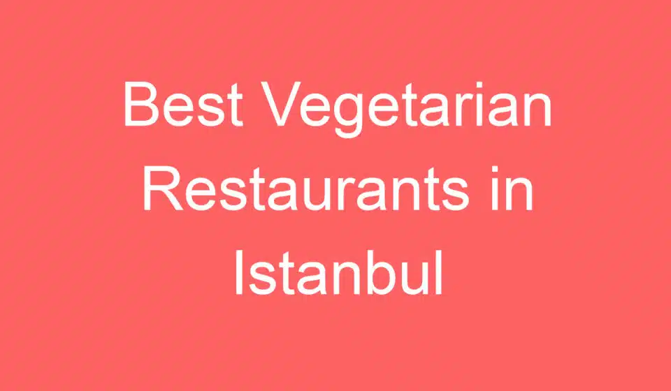 best vegetarian restaurants in istanbul 254631