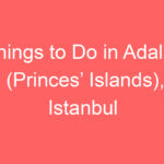 things to do in adalar princes islands istanbul 239085